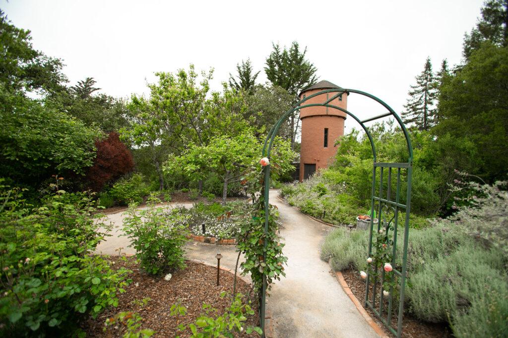 A beautiful backyard.