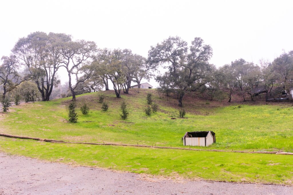 A photo of a property with trees in Santa Cruz.