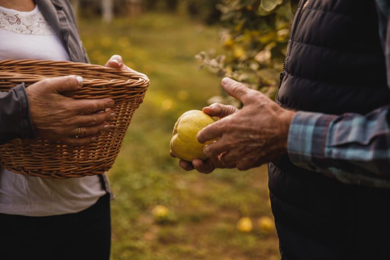 A photo of a man holding a lemon and a woman holding a basket.