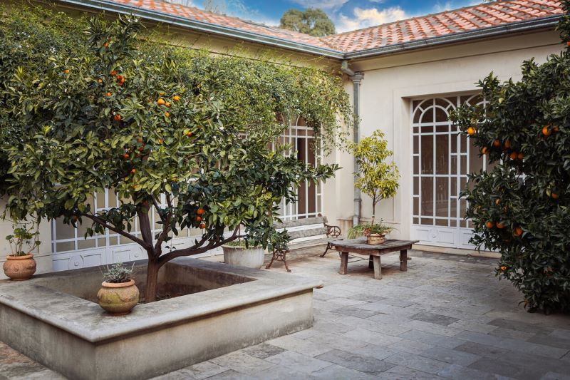 A photo of a courtyard with a fruit tree.