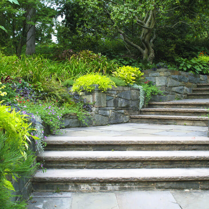 A landscape design featuring stone steps surrounded by a multi-level garden.