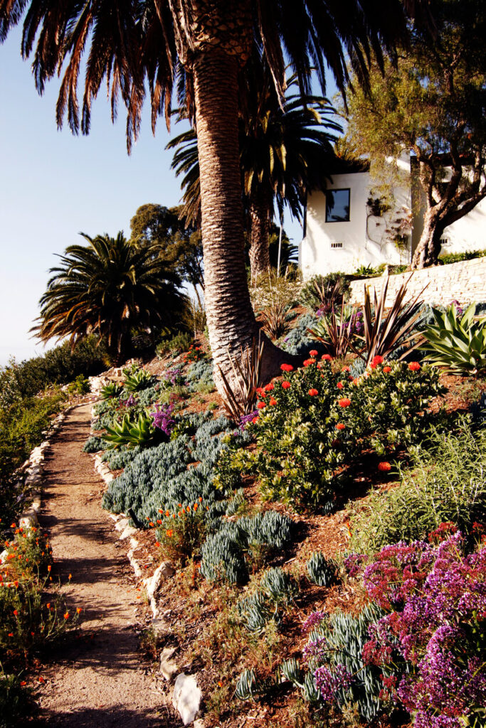 A photo of a garden on a hilly property in California.