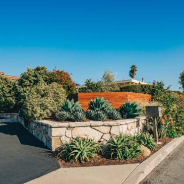 Houses with beautifully landscaped front yards on a sunny day.