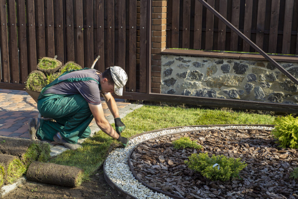 Landscape Gardener Laying Turf For New Lawn