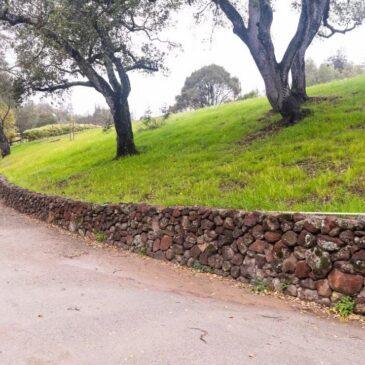 Curved stone retaining wall for sloped yard beside paved roadway
